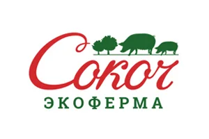 Логотип клиента MEDIACONSUL